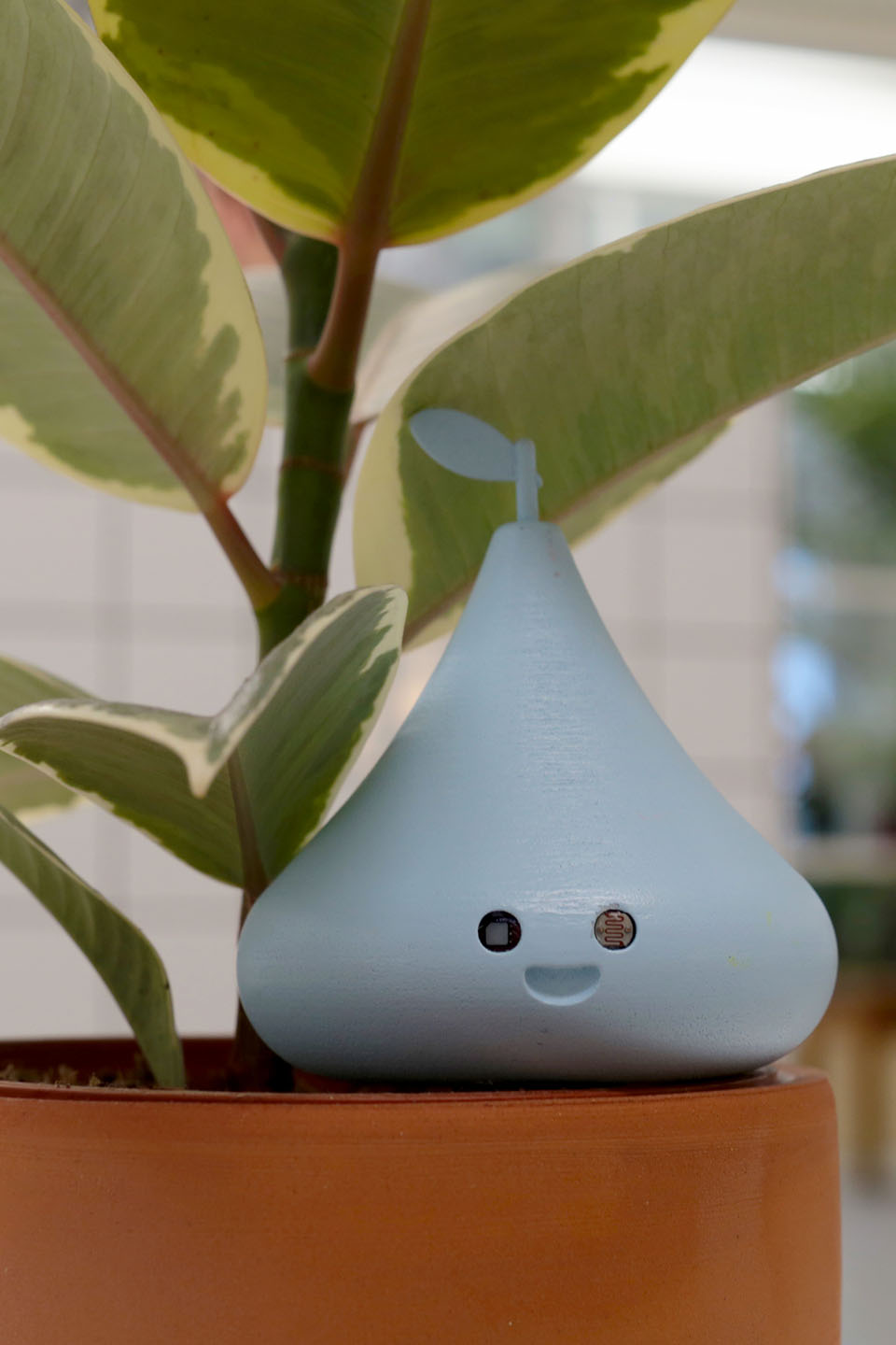 Sprout IOT